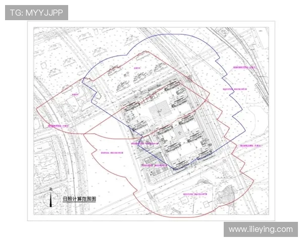 南京篮球队状态分析：近期表现与未来展望的全面探讨