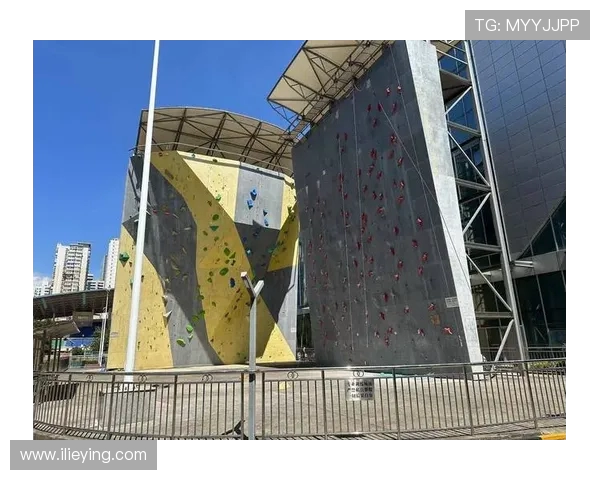 广州攀岩队的默契配合与训练心得探讨聚焦攀岩运动的团队精神与技巧提升